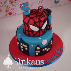 005-Superhjalte-tarta-201801