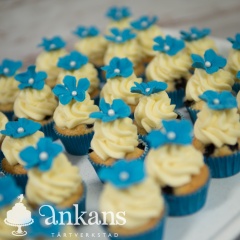 042-Cupcakes-201903